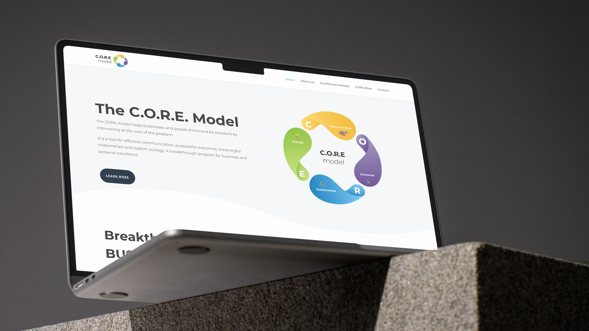 Brand identity & executive coaching website for a new program launch by Tanja John